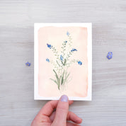 CARTE (+enveloppe kraft) - Myosotis