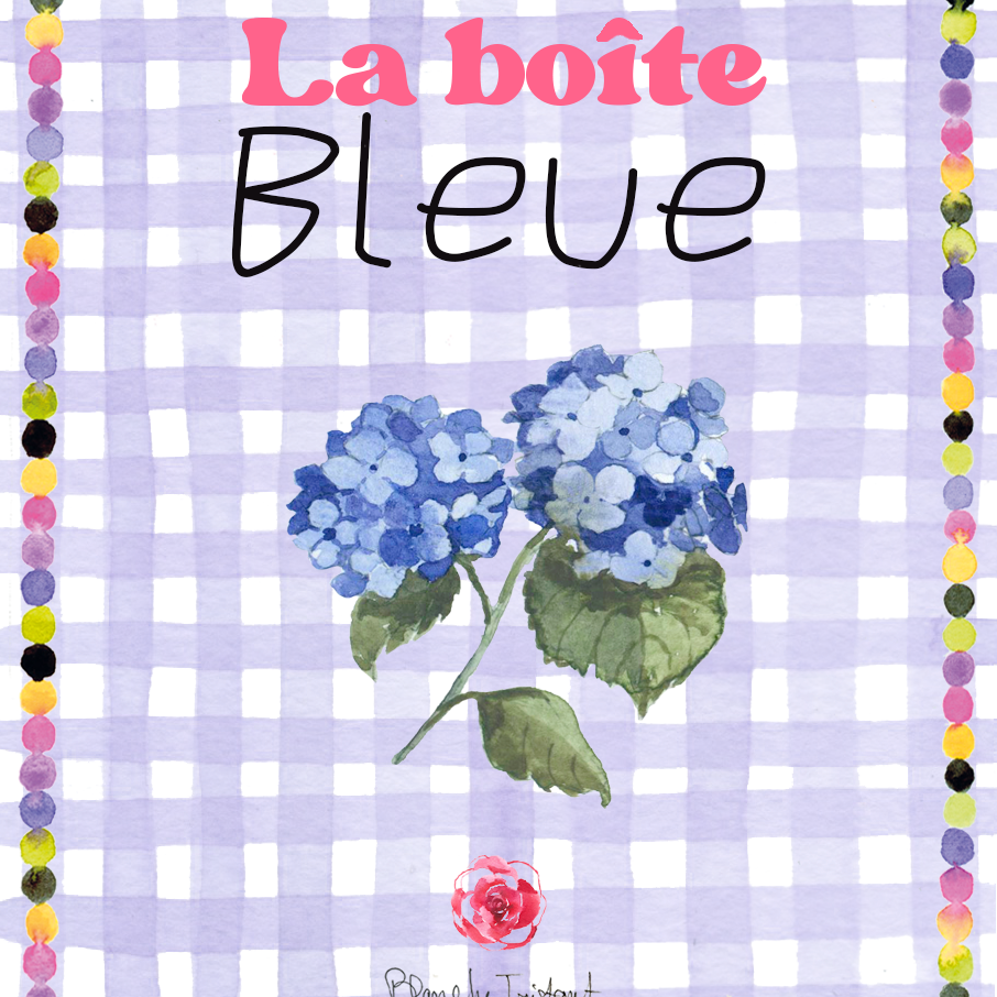 BoiteBleue.png