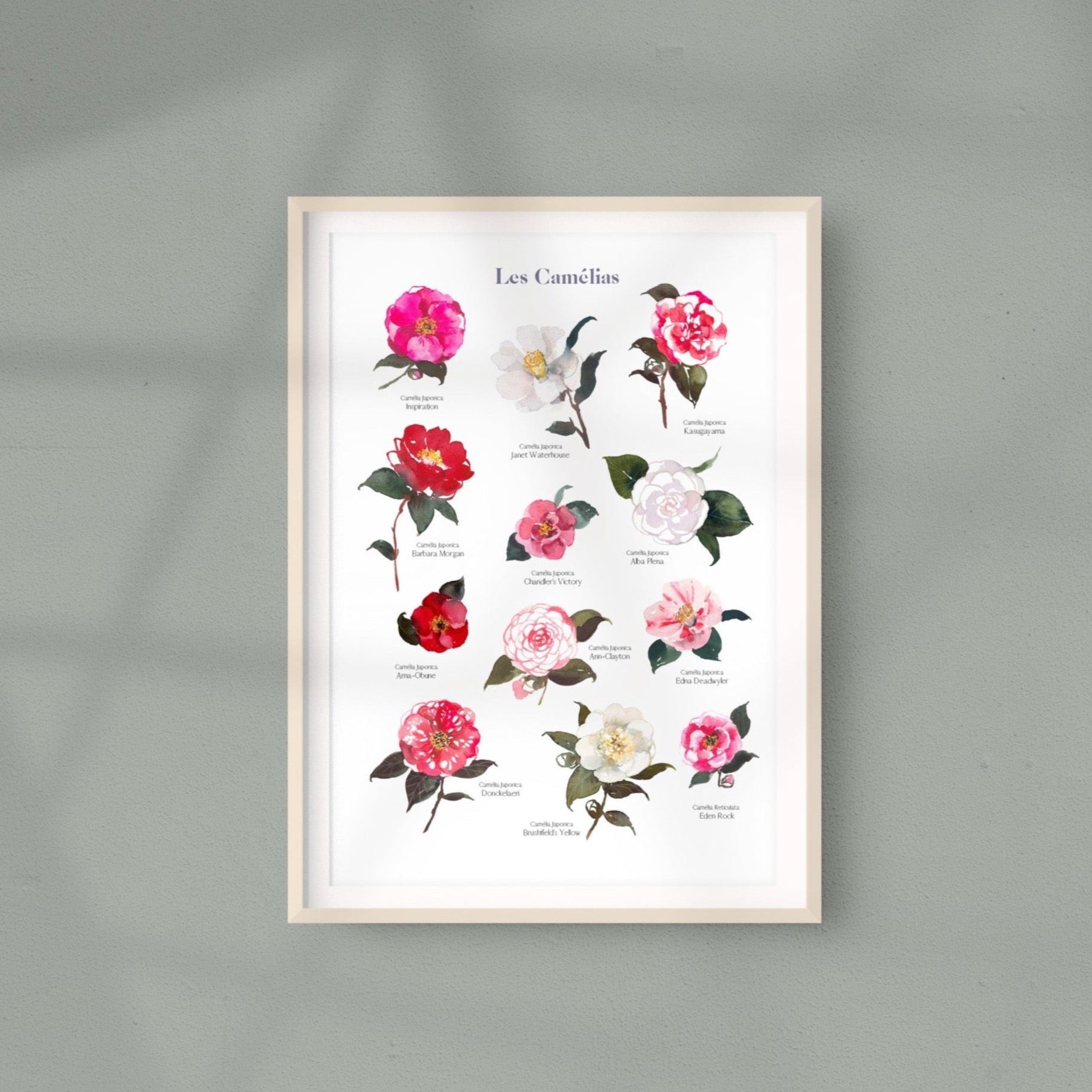 Cameliasaffichemockup.jpg