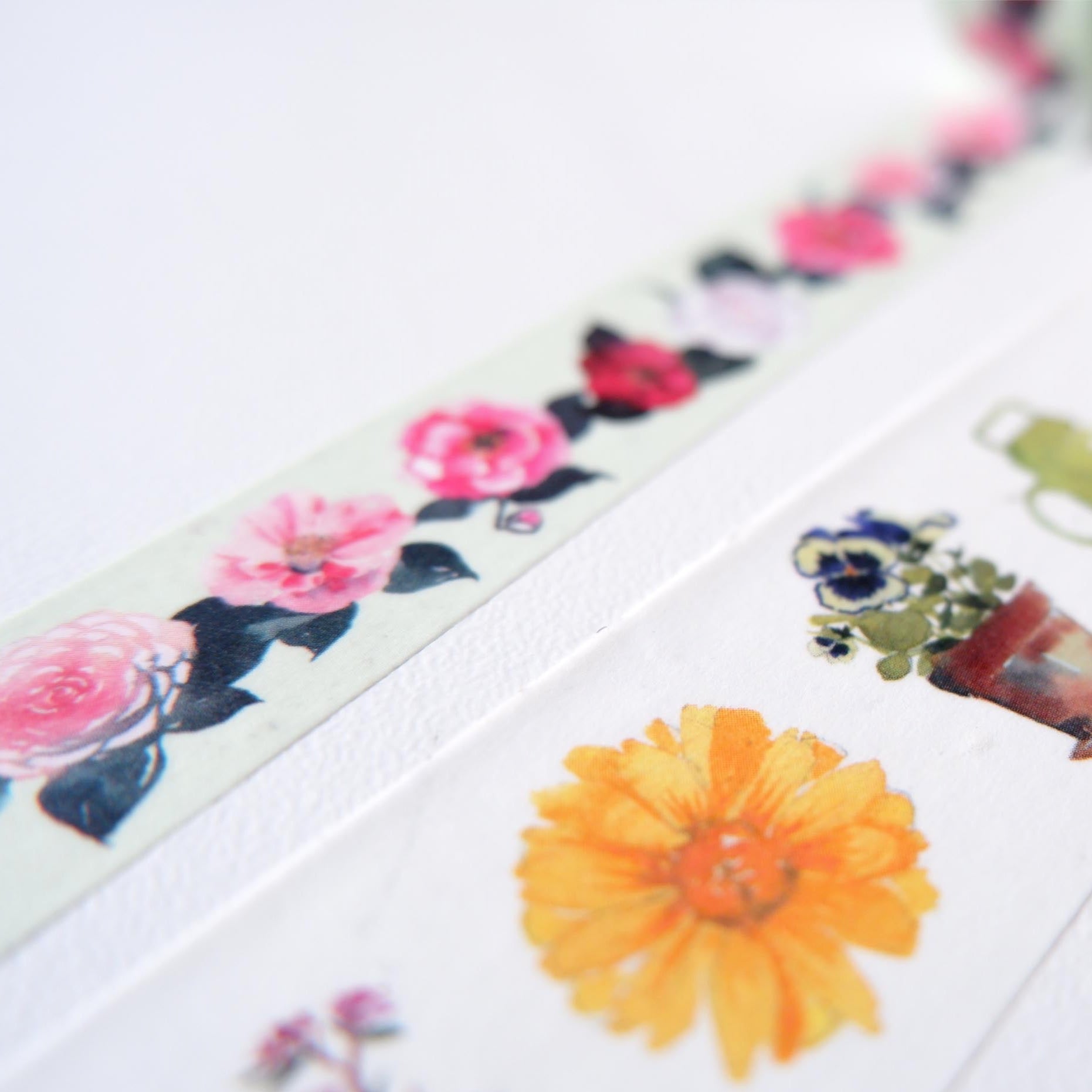 Washi tape Camélias