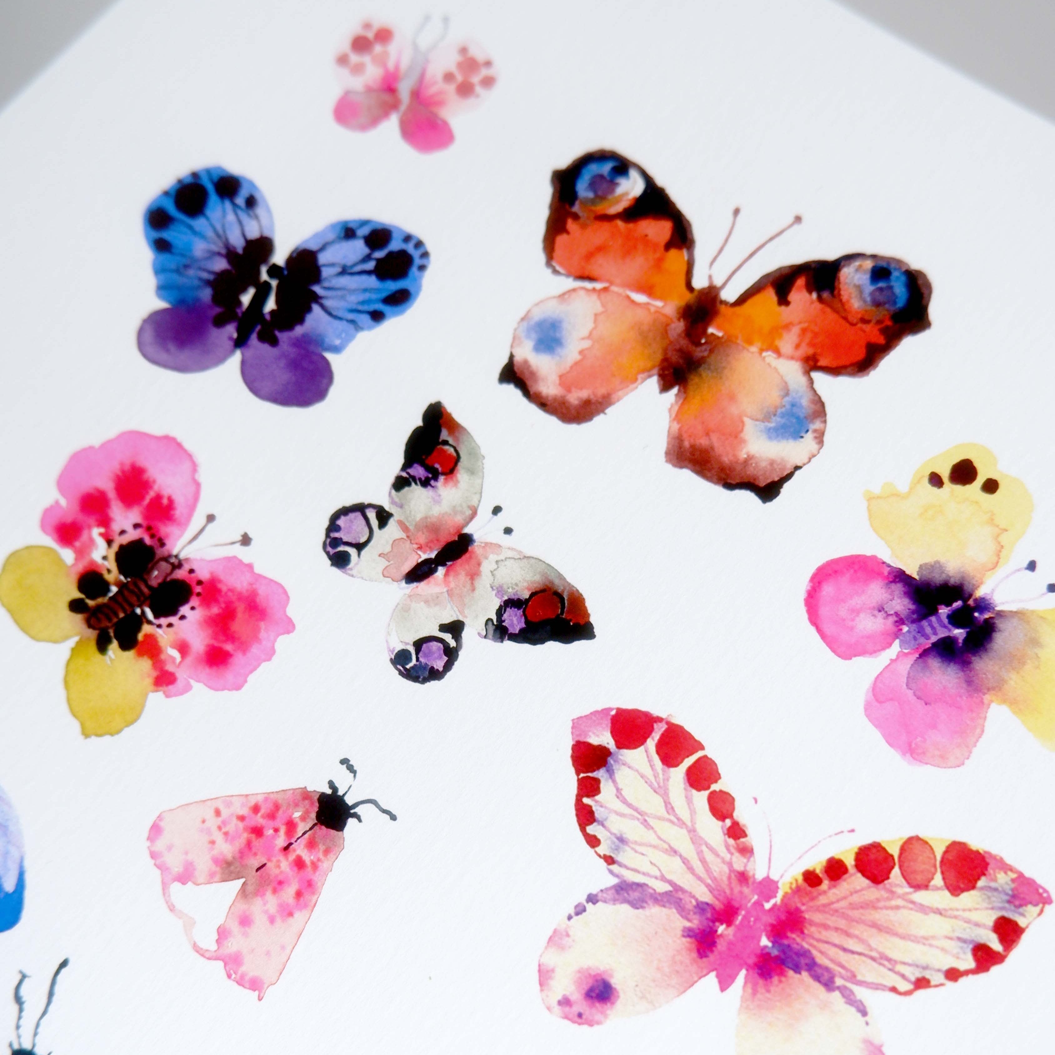 Affiche Papillons