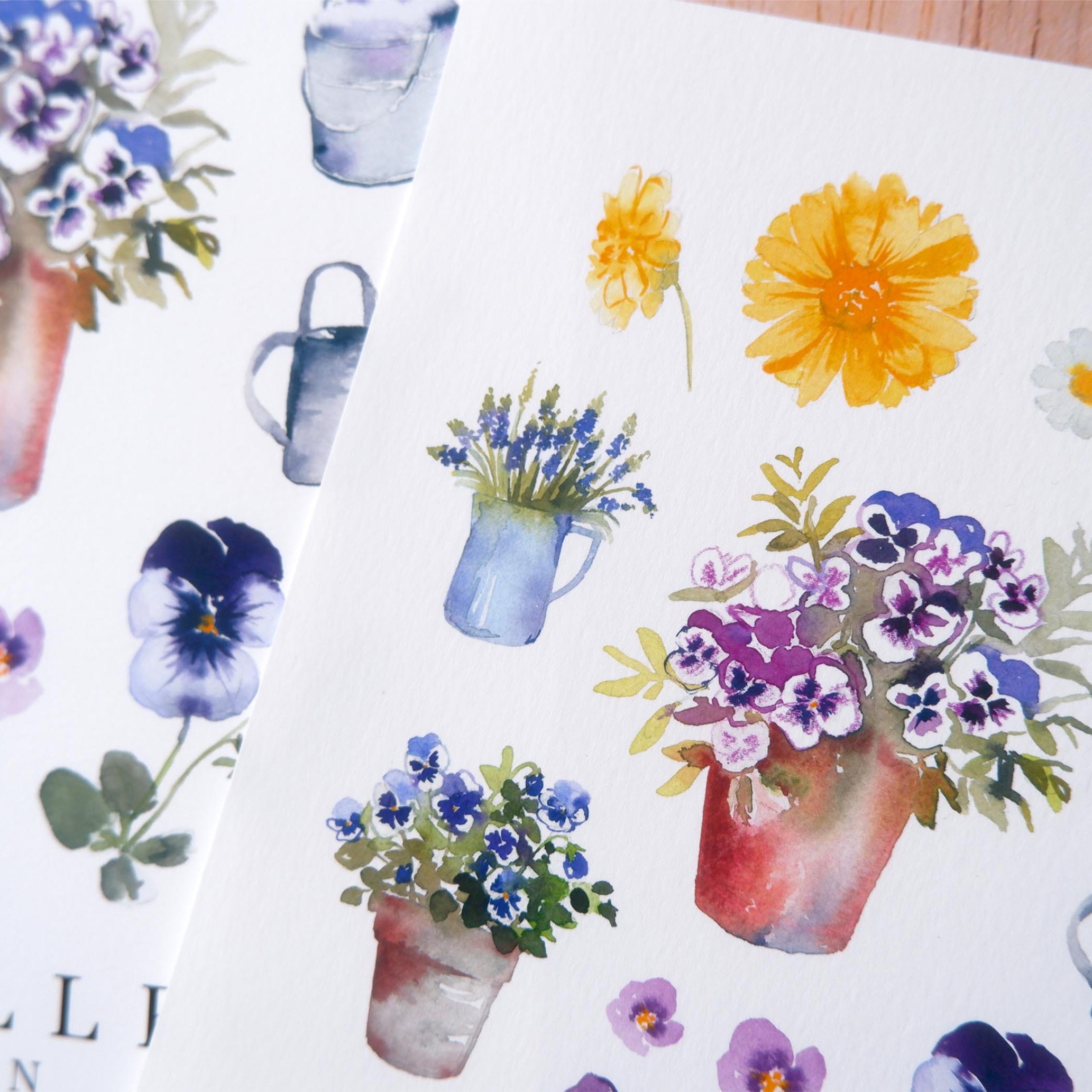 Affiche Merveilleux jardin