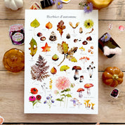 Herbier d'automne