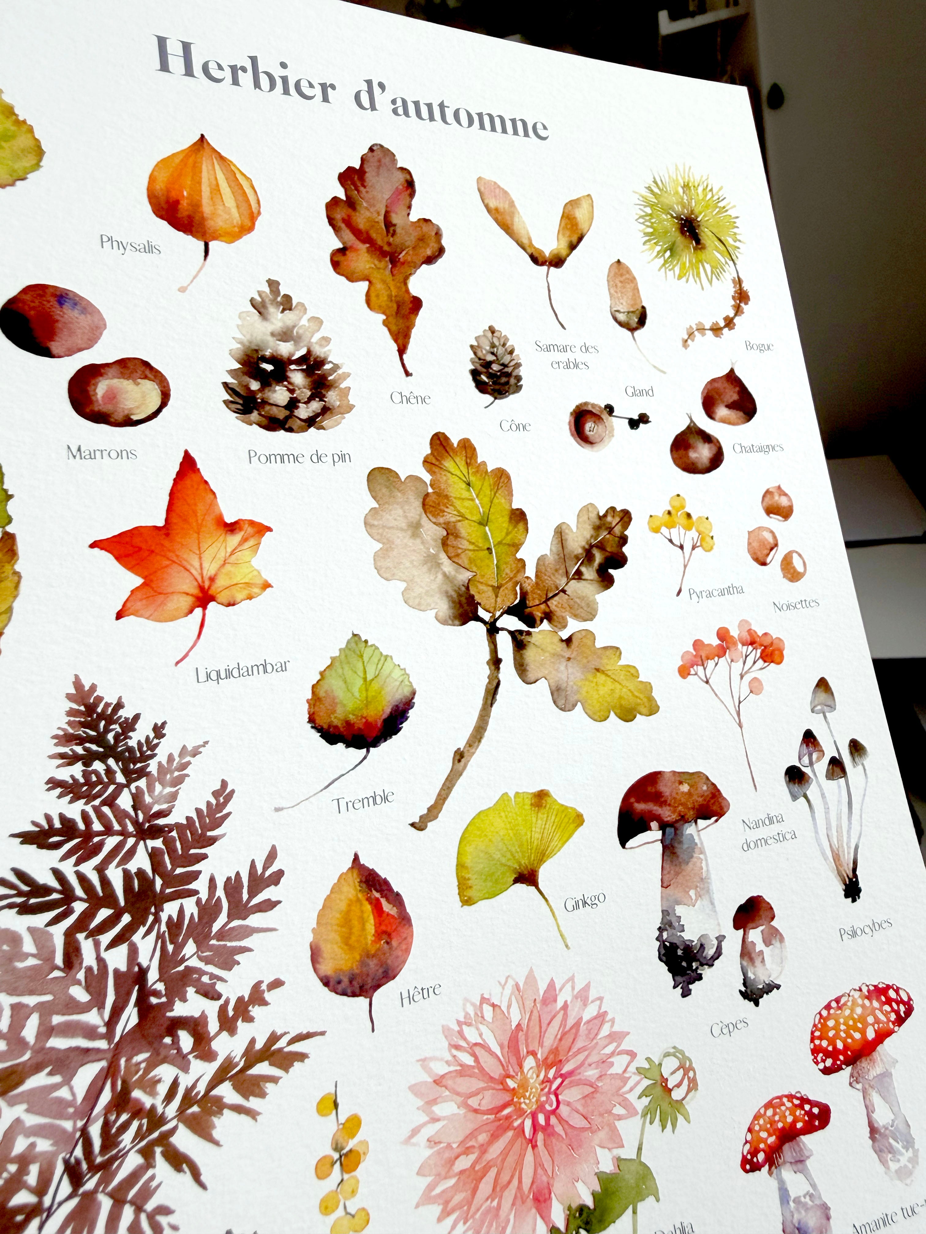 Herbier d'automne