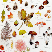 Herbier d'automne