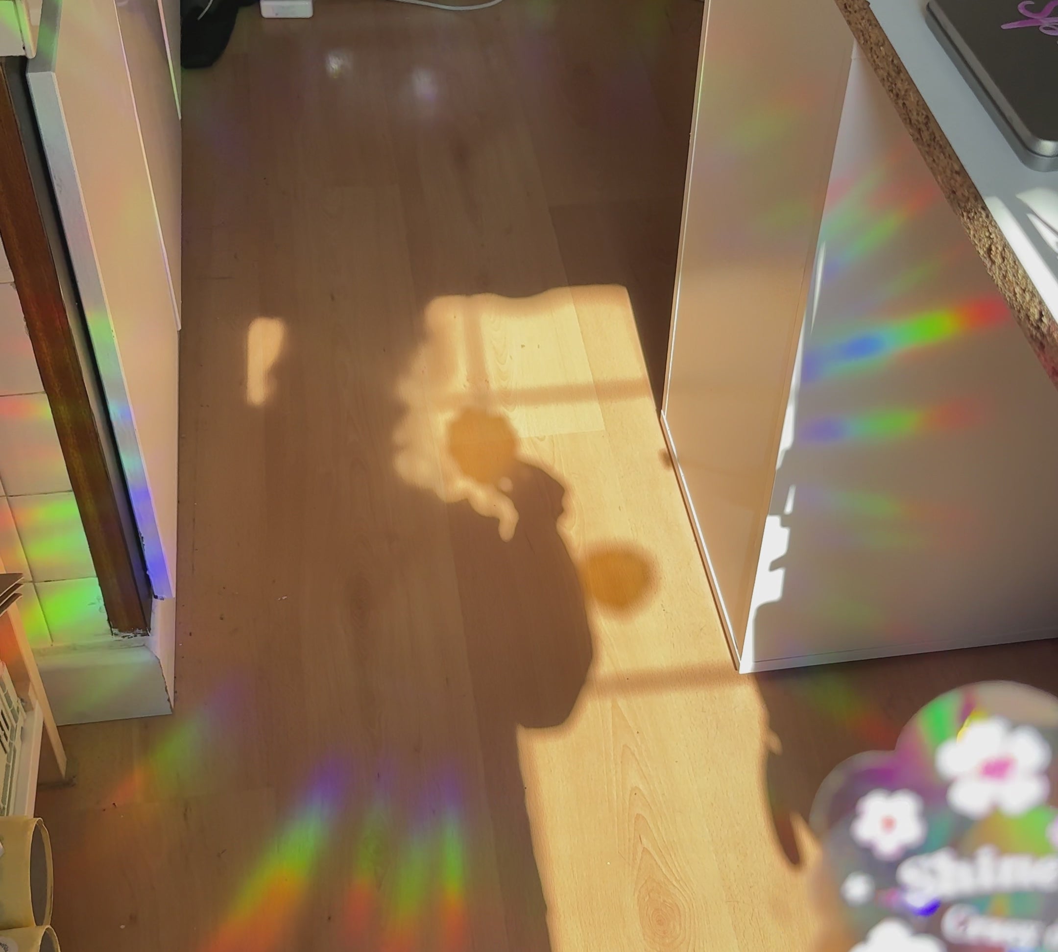 bf1a4e61646d41b0b9e9d0419d3e97de.thumbnail.0000000000.jpg