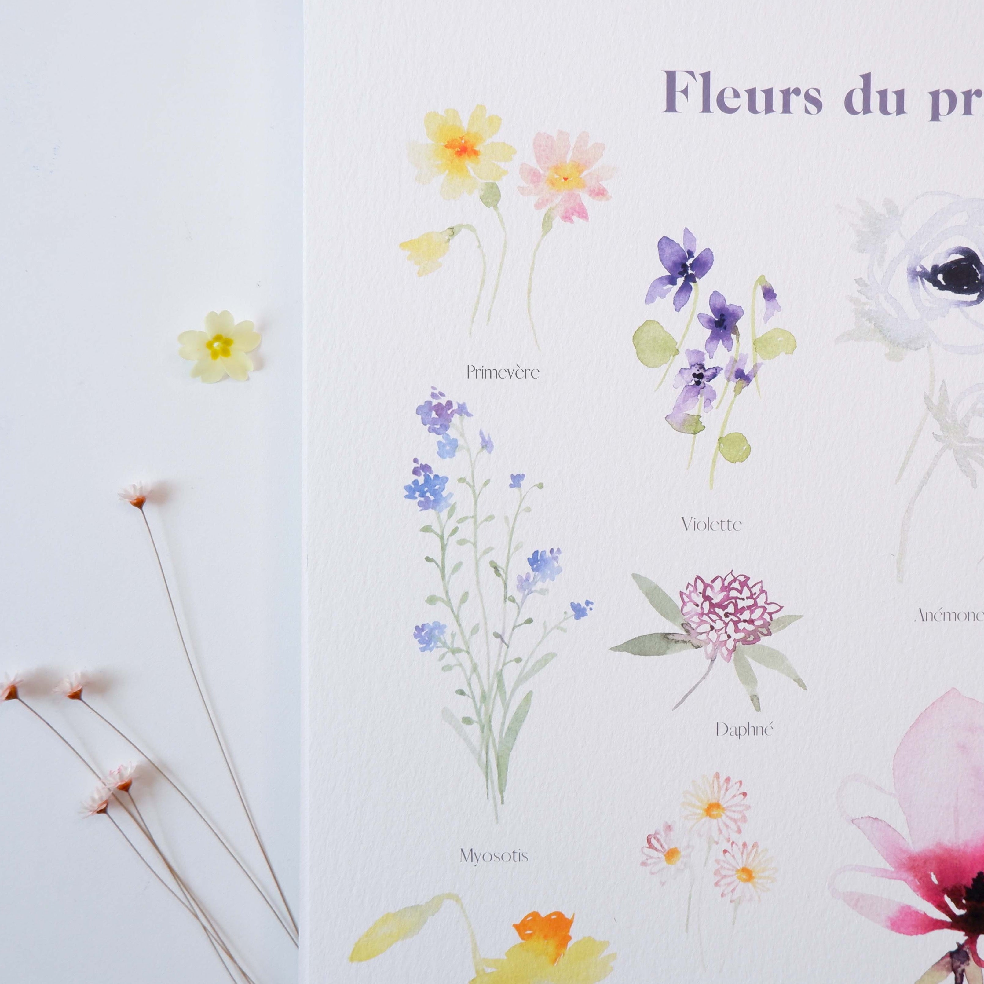 FLEURS DE PRINTEMPS