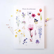 FLEURS DE PRINTEMPS
