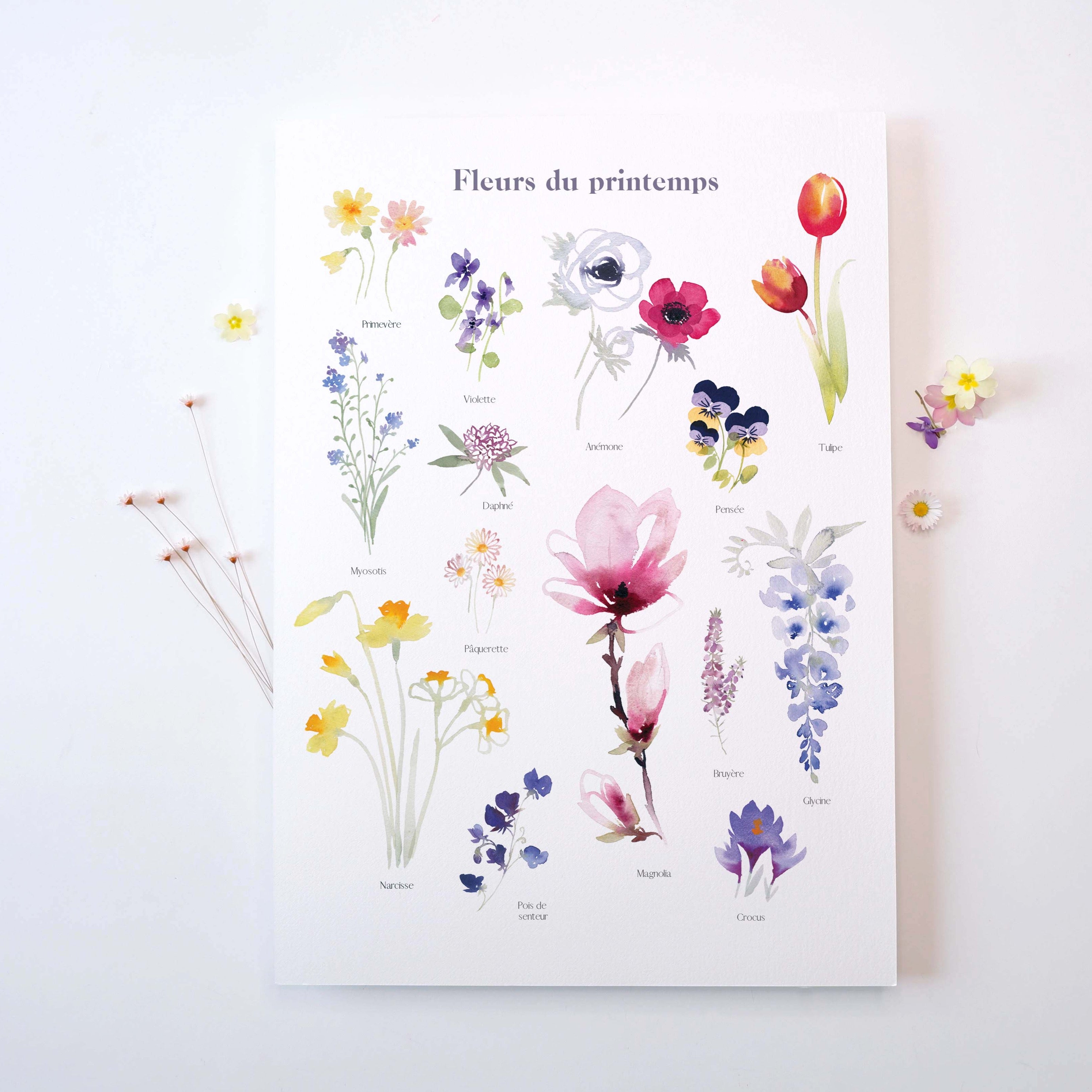FLEURS DE PRINTEMPS