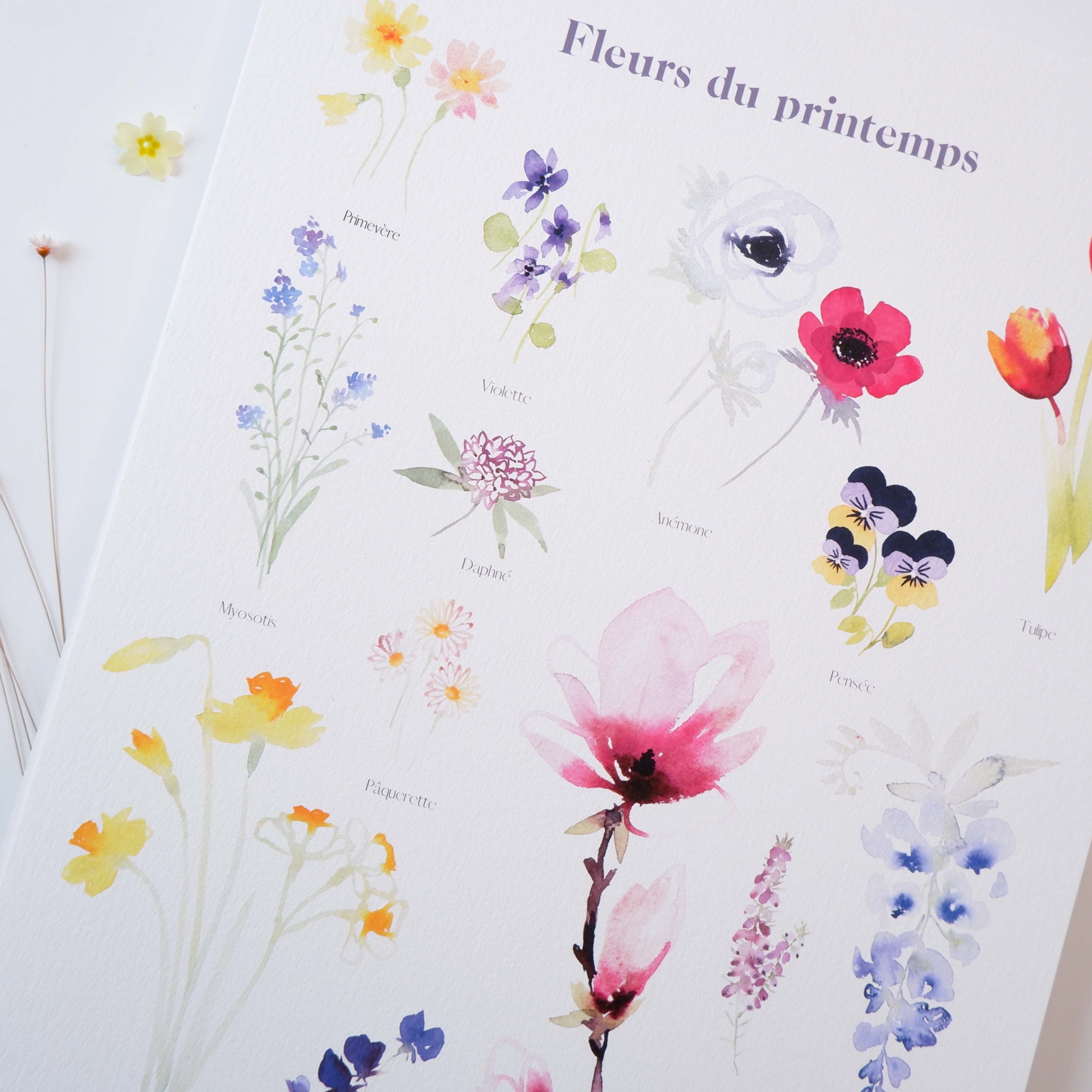FLEURS DE PRINTEMPS