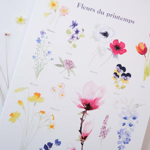 FLEURS DE PRINTEMPS
