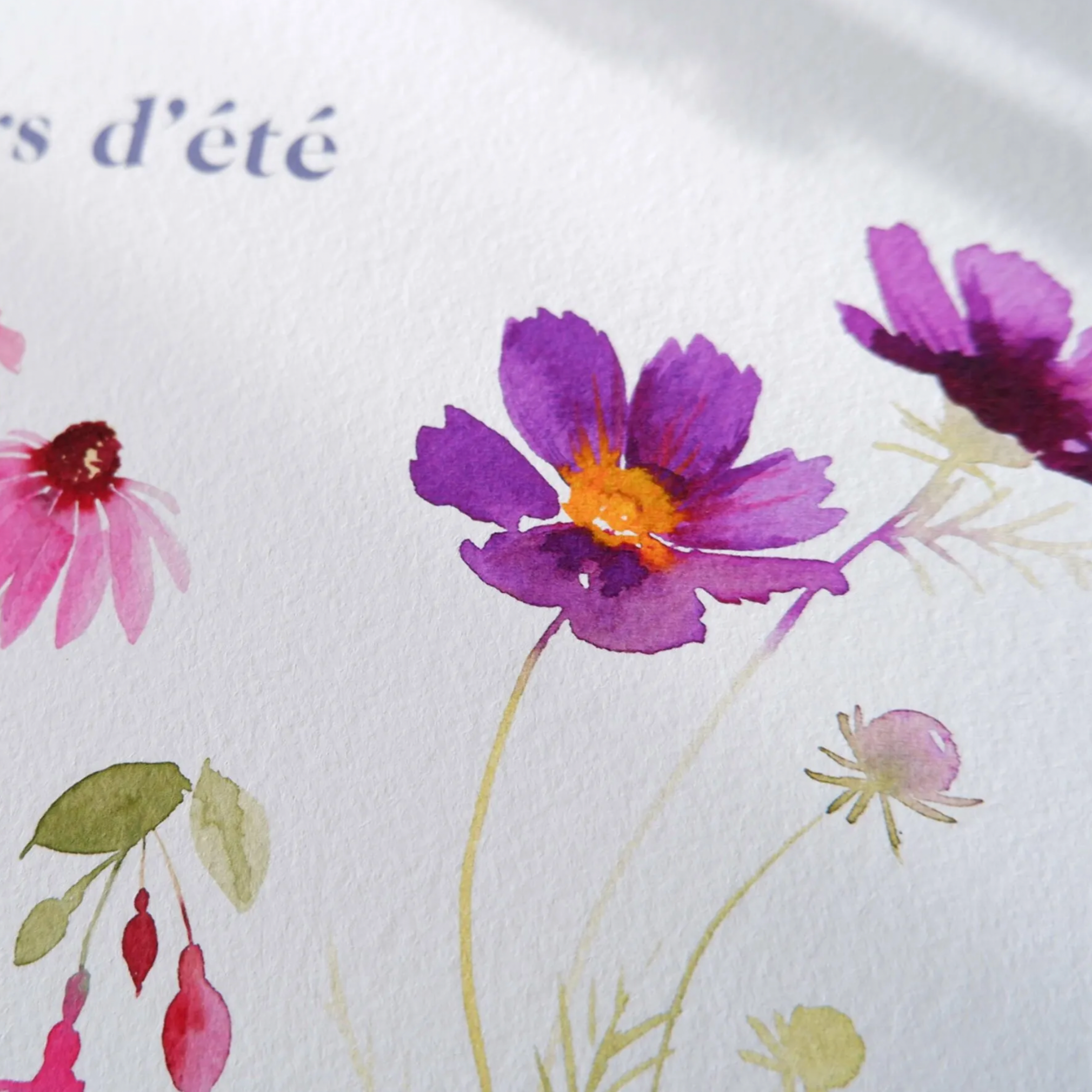 FLEURS D'ÉTÉ