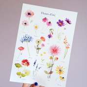 FLEURS D'ÉTÉ