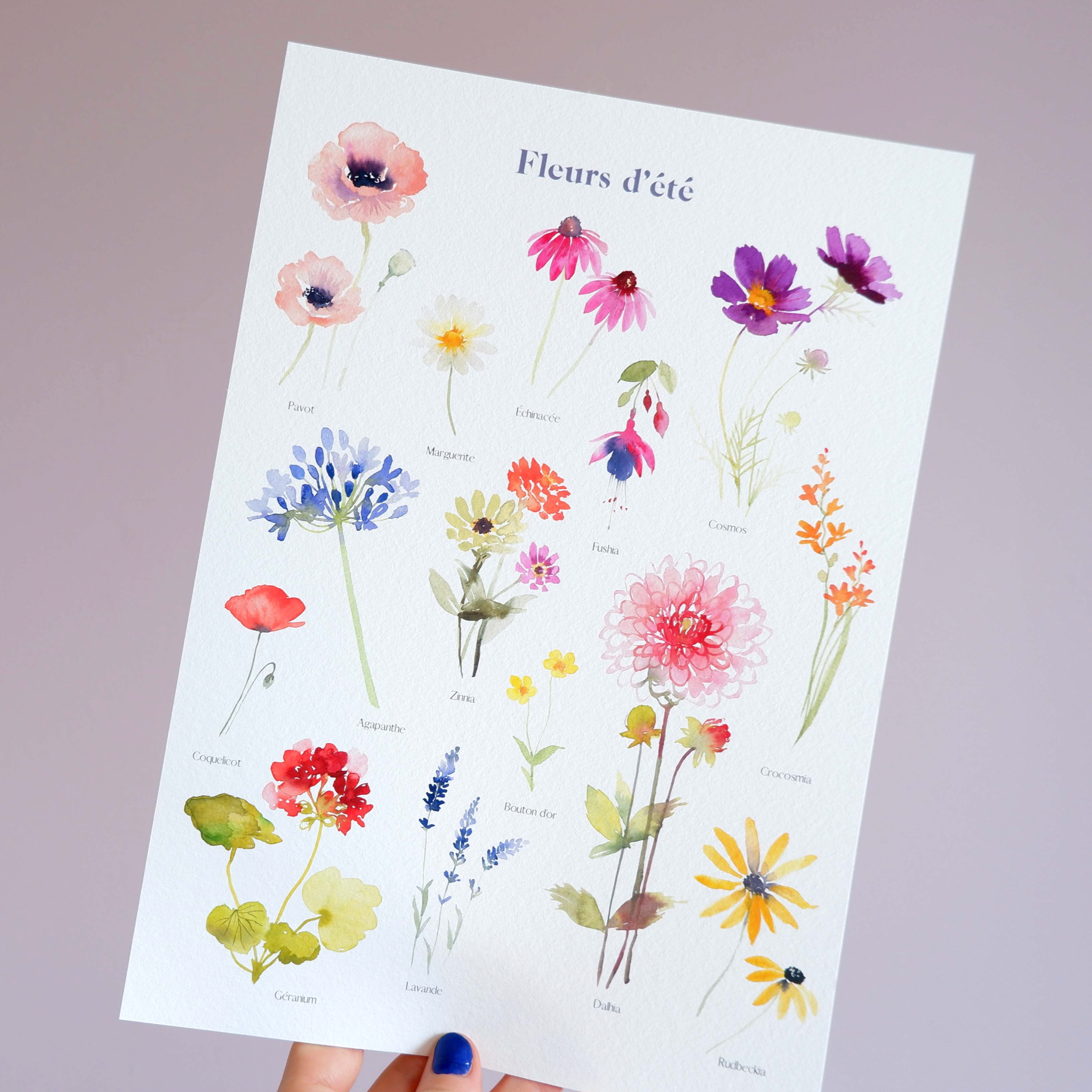 FLEURS D'ÉTÉ