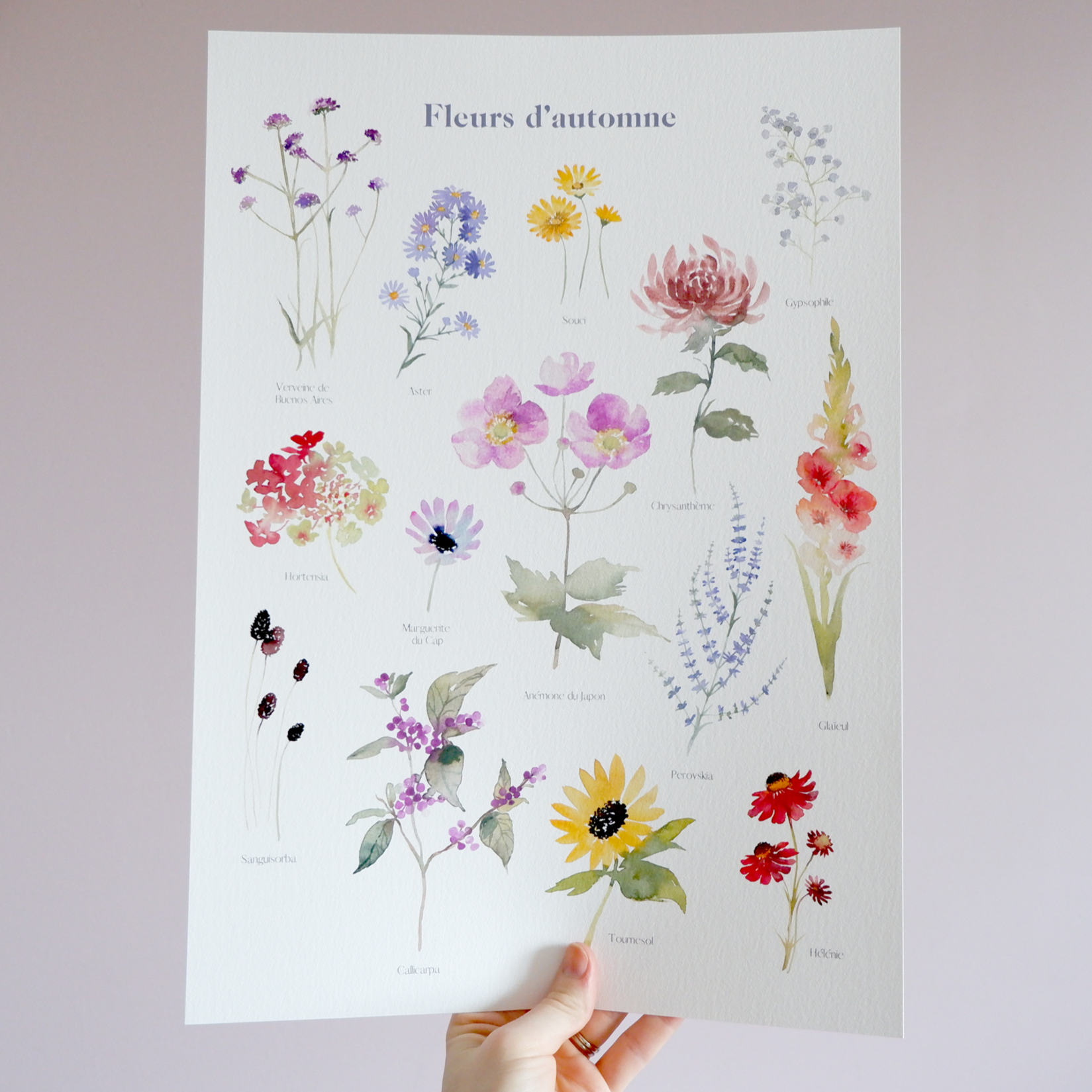 FLEURS D'AUTOMNE
