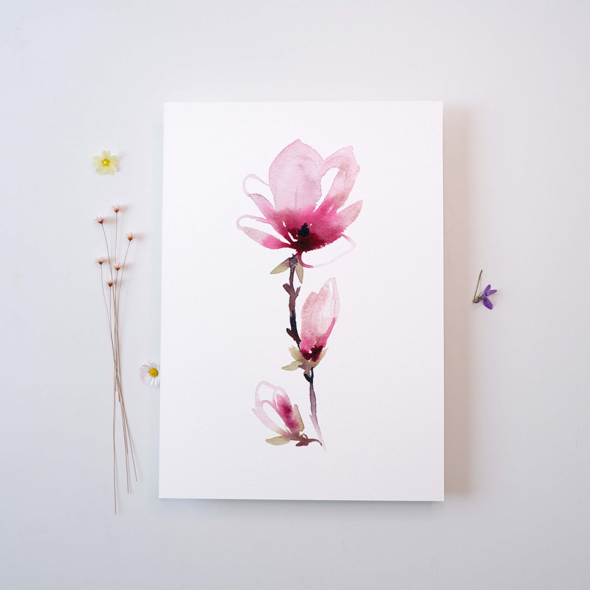 MAGNOLIA