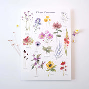 FLEURS D'AUTOMNE