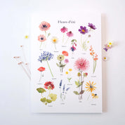 FLEURS D'ÉTÉ