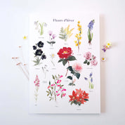 FLEURS D'HIVER