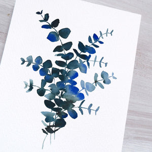 Eucalyptus bleu