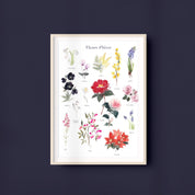FLEURS D'HIVER