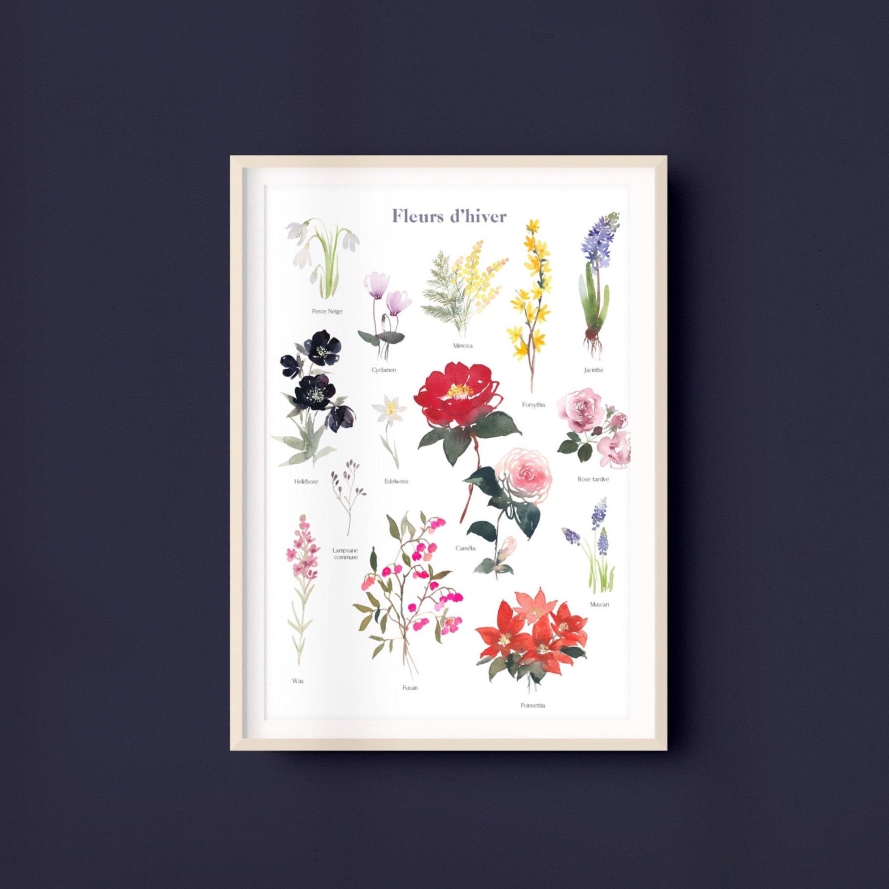 FLEURS D'HIVER