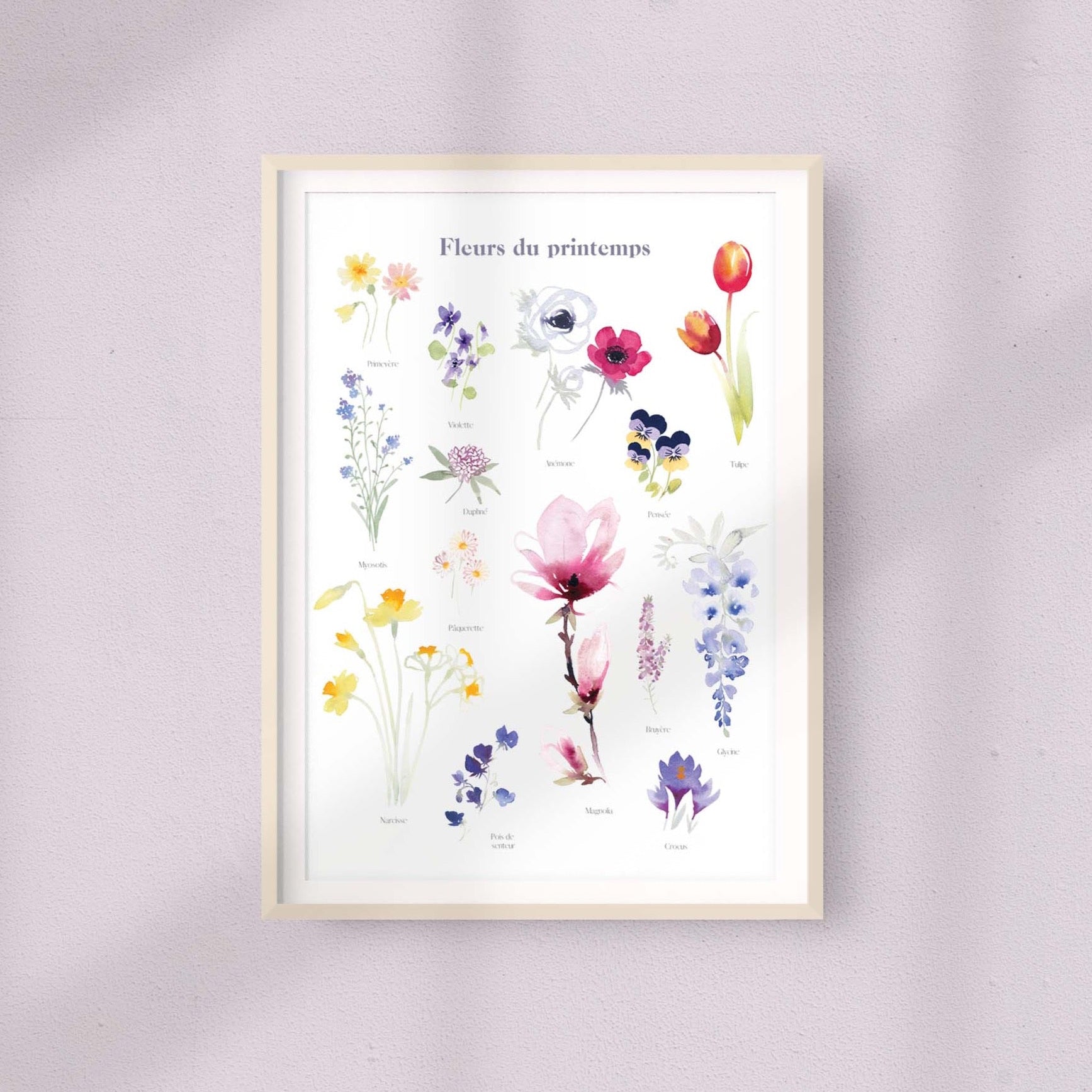 FLEURS DE PRINTEMPS