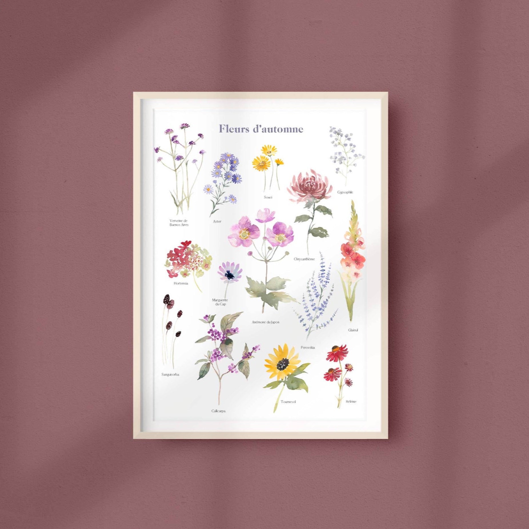 FLEURS D'AUTOMNE