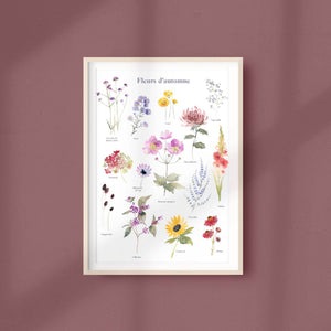 FLEURS D'AUTOMNE
