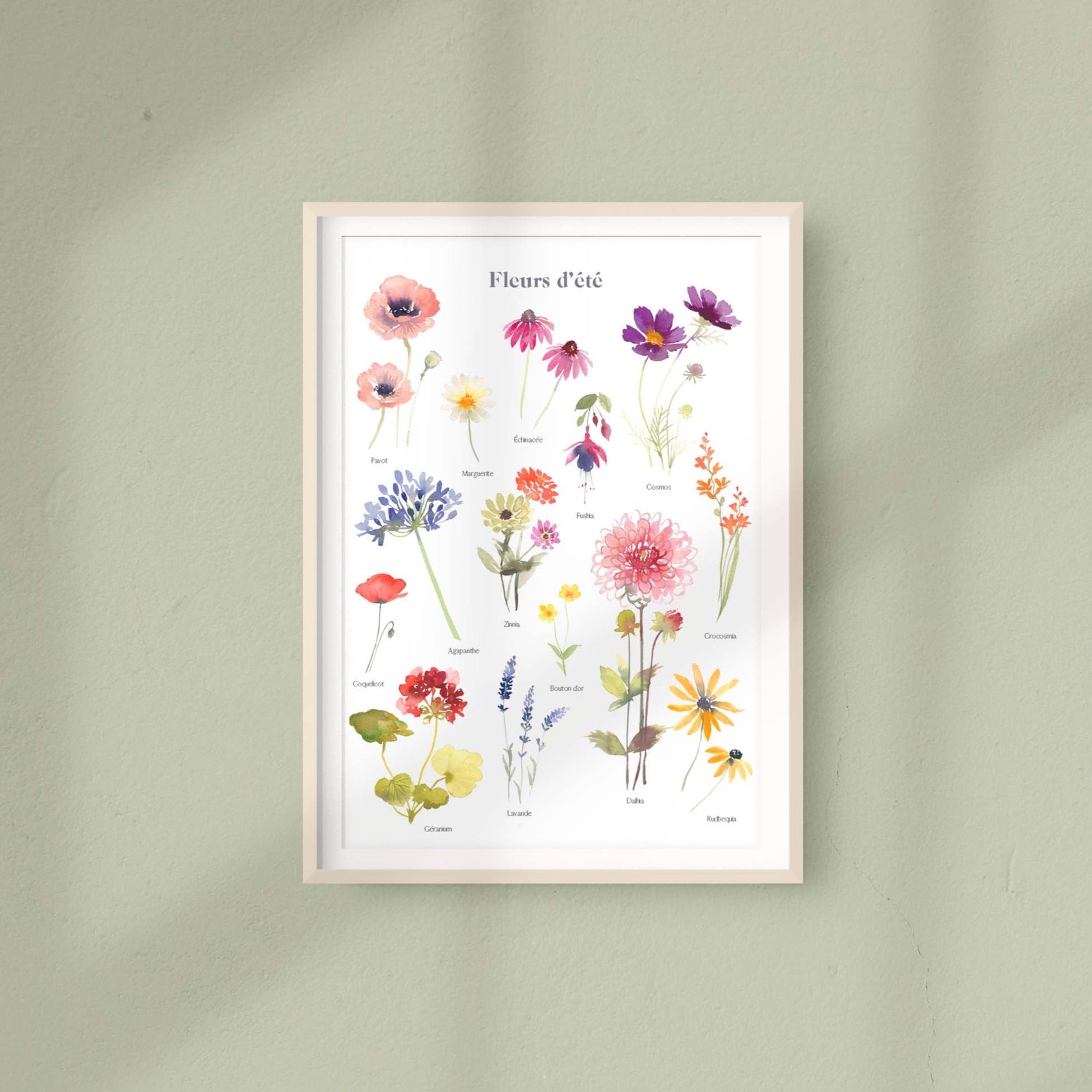 FLEURS D'ÉTÉ